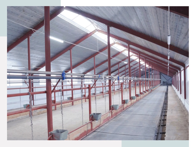 Строительство коровников в Новокубанске от 624 руб.