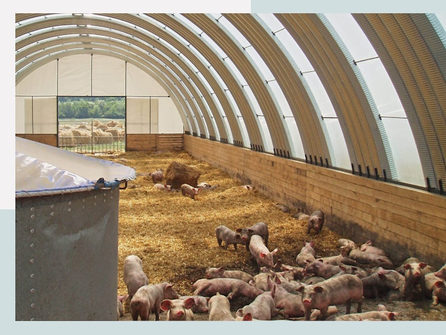 Строительство свинарников в Новокубанске