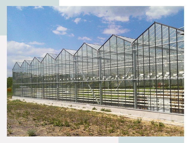 Строительство теплиц в Новокубанск от 624 руб. за м²